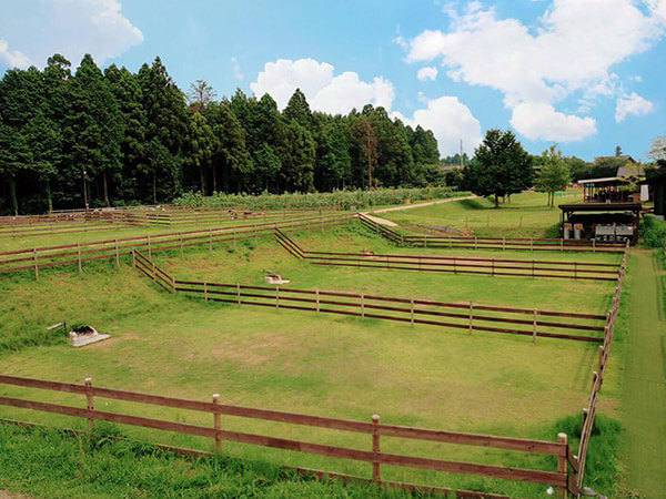 5～7番 農園のなかのキャンプ場
＜山側＞