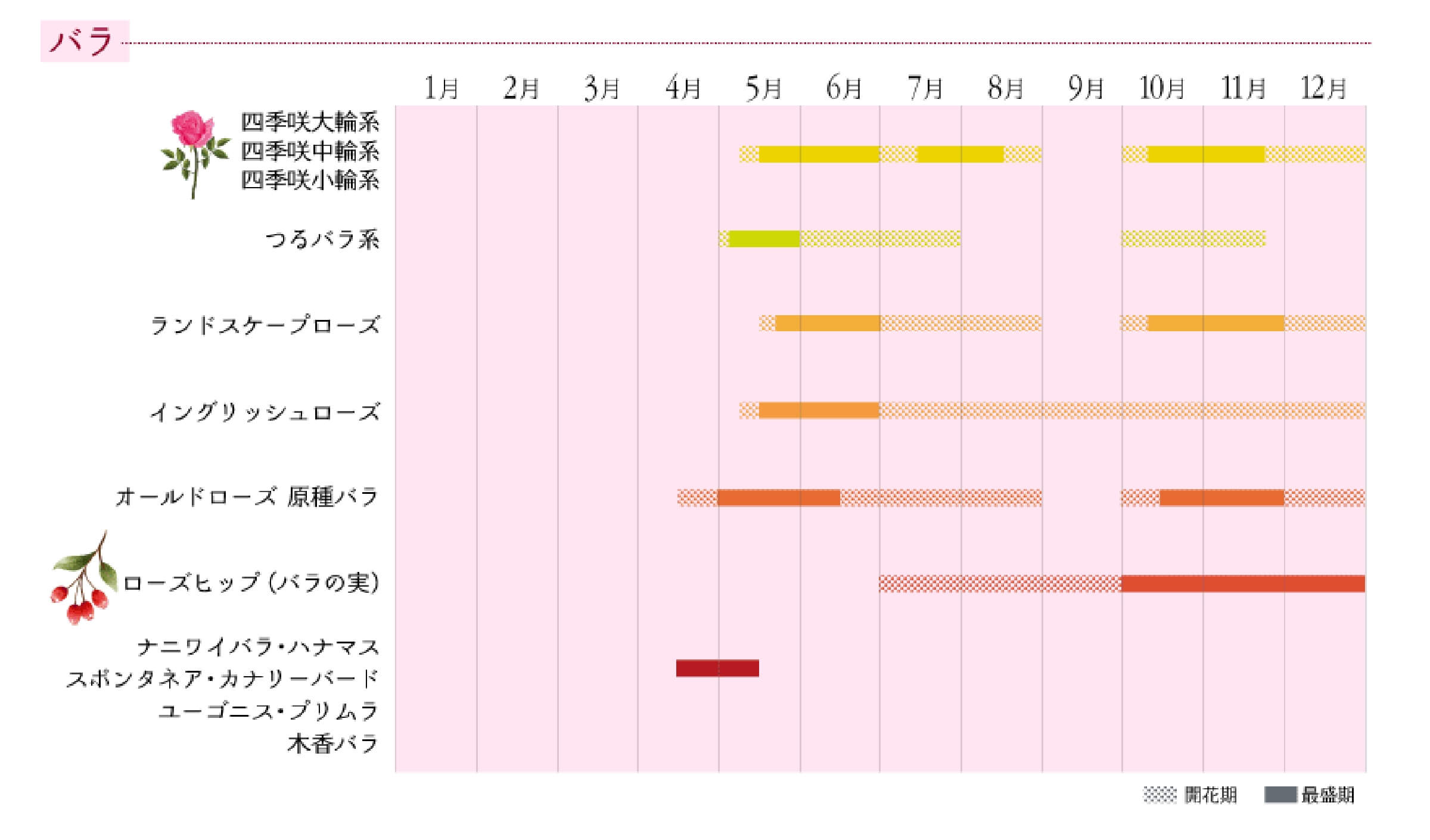 花カレンダー