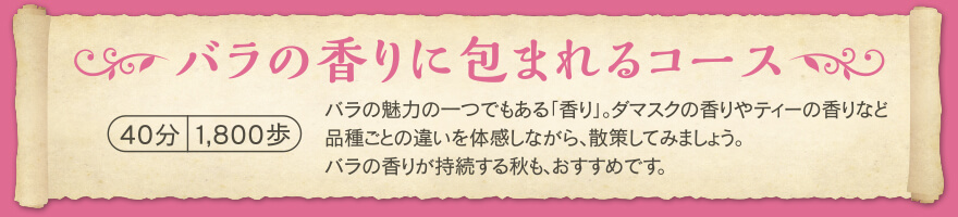 バラの香りに包まれるコース1