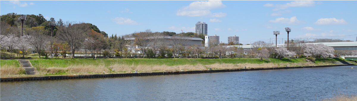 八千代総合運動公園とは