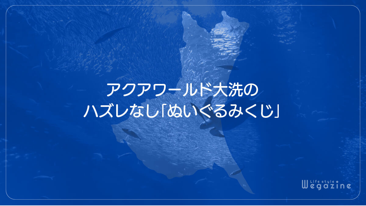 アクアワールド大洗のハズレなし「ぬいぐるみくじ」