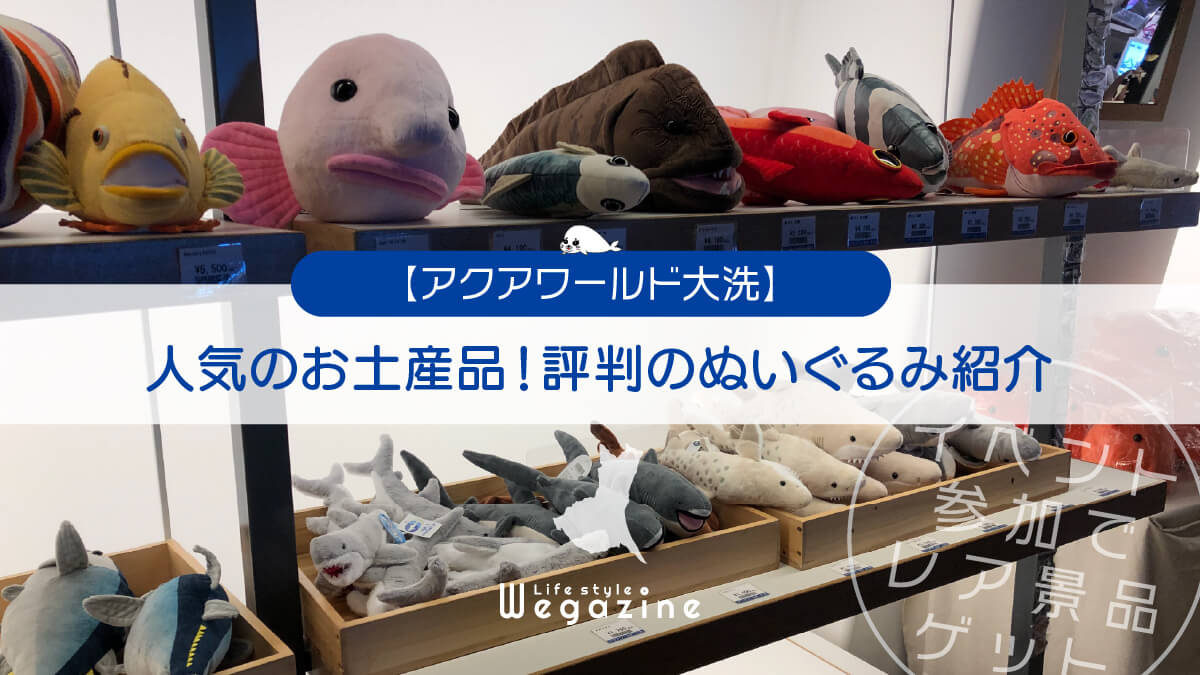 【アクアワールド大洗】人気のお土産品！評判のぬいぐるみ紹介＜イベント参加でレア景品ゲット＞