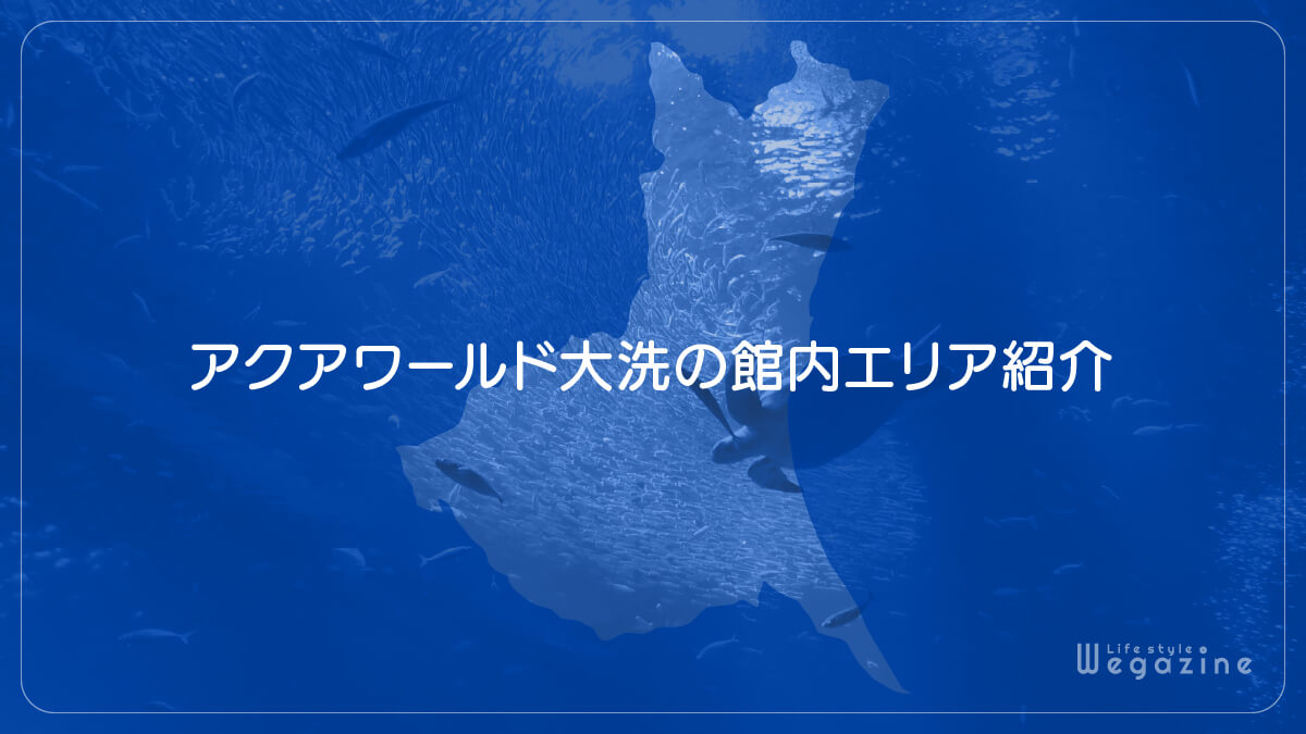 アクアワールド大洗の館内エリア紹介