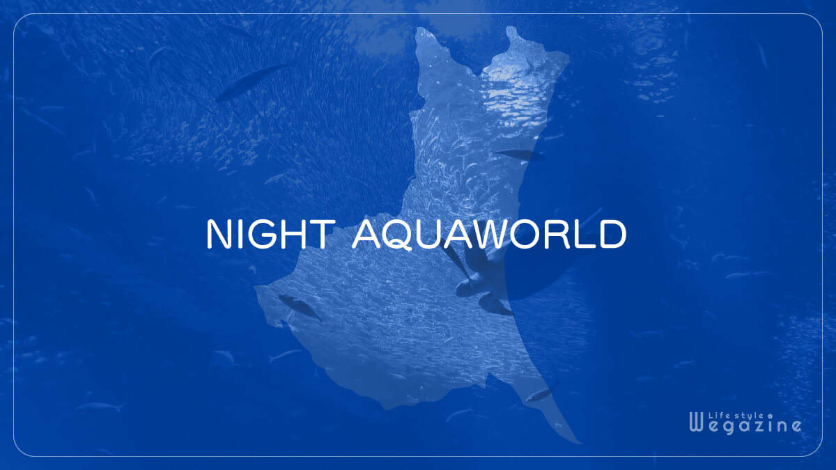 NIGHT AQUAWORLD（ナイトアクアワールド）