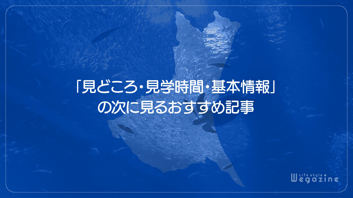 「アクアワールド大洗の見どころ・見学時間・基本情報」の次に見るおすすめ記事