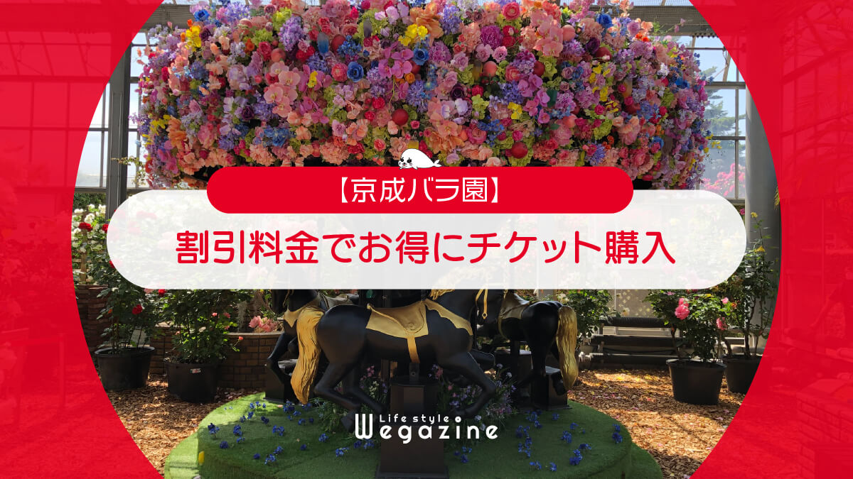 【割引料金】京成バラ園に割引券・クーポン使って安くお得にチケット購入する方法＜割引優待・チケット付ホテル＞