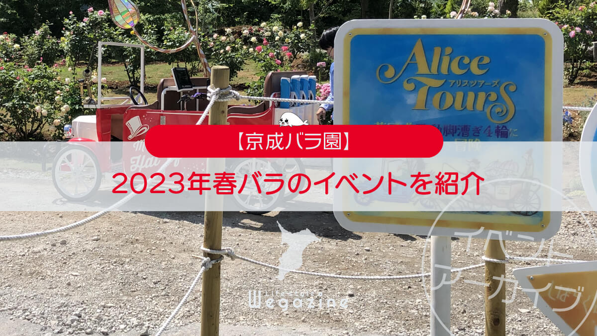 【京成バラ園】2023年春バラのイベントを紹介＜実体験イベントアーカイブ＞