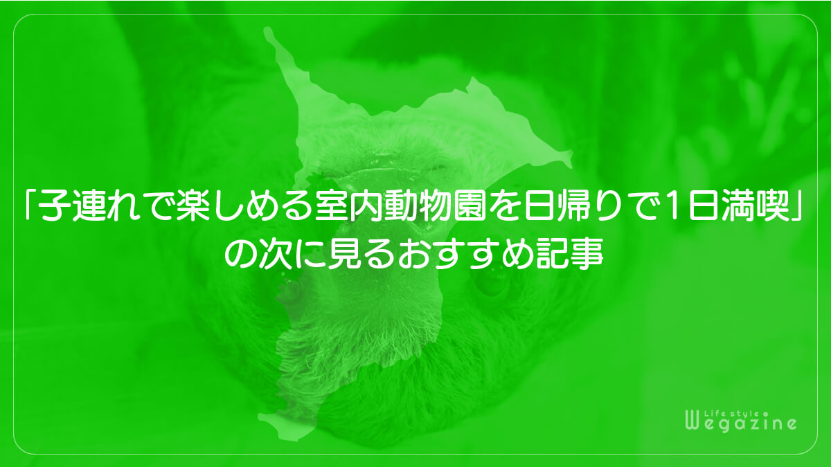 「子連れで楽しめる室内動物園のモフアニマルワールドを日帰りで1日満喫」の次に見るおすすめ記事