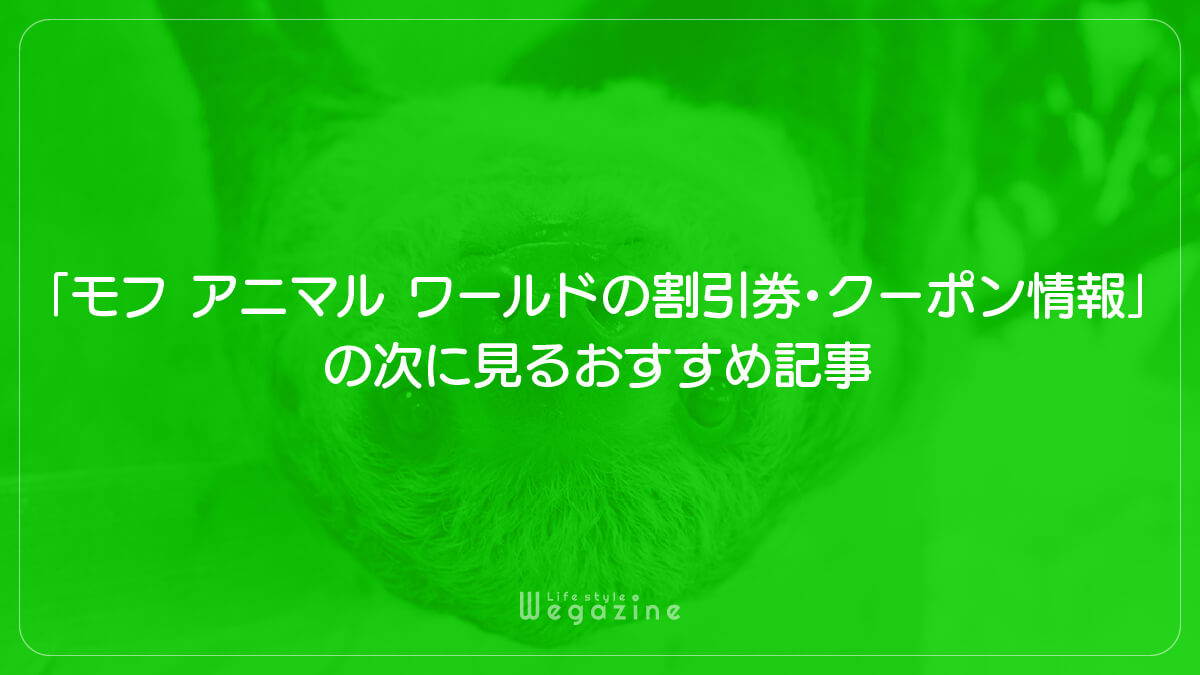 「モフ アニマル ワールドの割引券・クーポン情報」の次に見るおすすめ記事