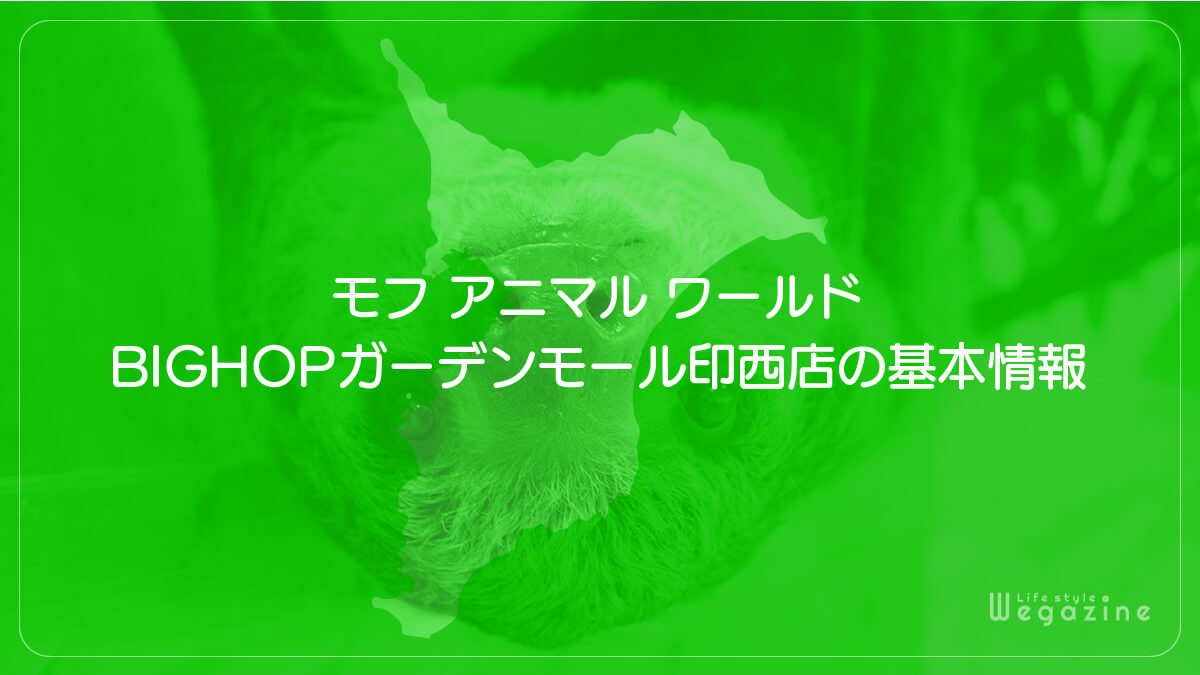 モフ アニマル ワールド BIGHOPガーデンモール印西店の基本情報