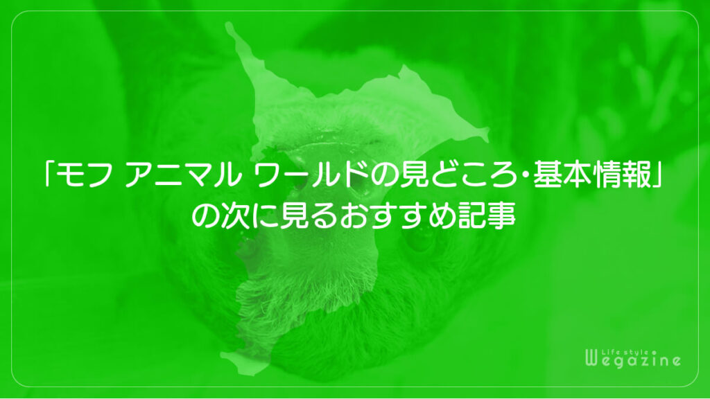 「モフ アニマル ワールドの見どころ・所要時間・基本情報」の次に見るおすすめ記事