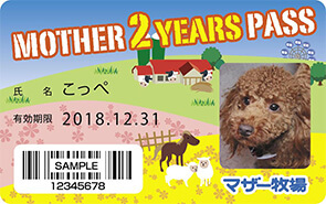 2年間パスポート犬