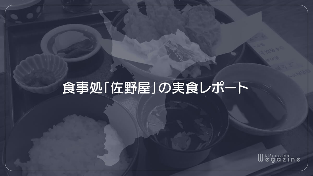 食事処「佐野屋」の実食レポート