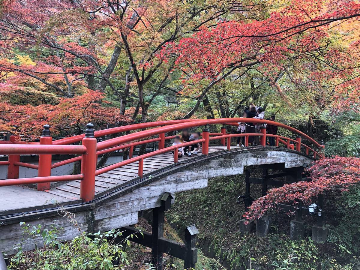 河鹿橋