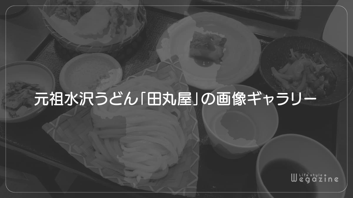 元祖水沢うどん「田丸屋」の画像ギャラリー