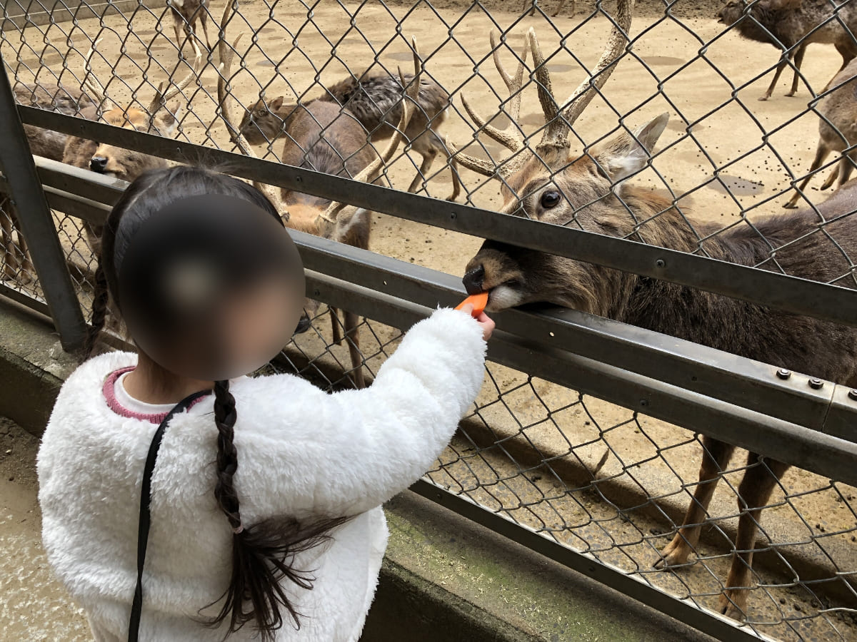 さざれ石の隣に鹿園