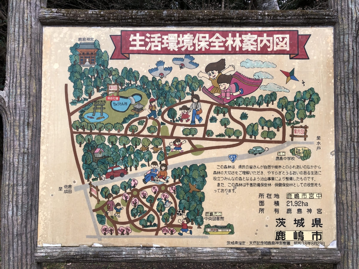 鹿島神宮樹叢（じゅそう）