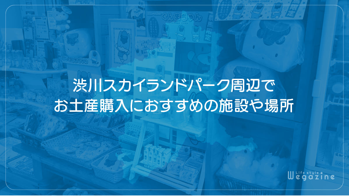 渋川スカイランドパーク周辺でお土産購入におすすめの施設や場所