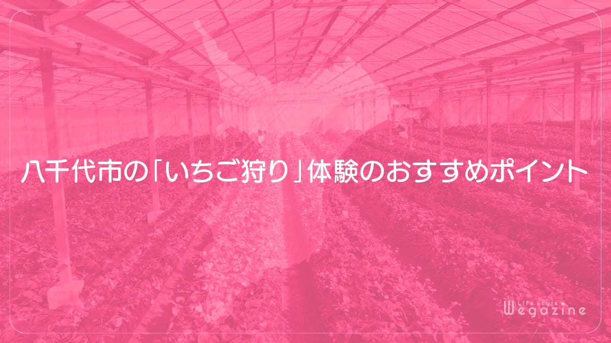 八千代市の「いちご狩り」体験のおすすめポイント