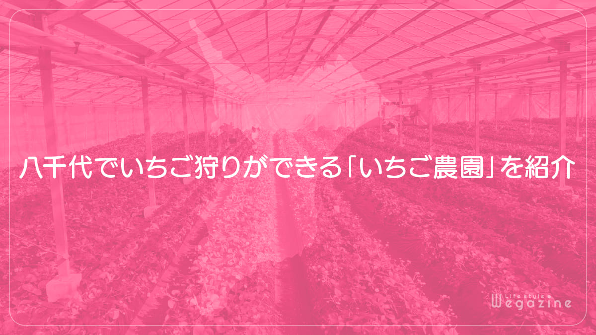 八千代でいちご狩りができる「いちご園」を紹介