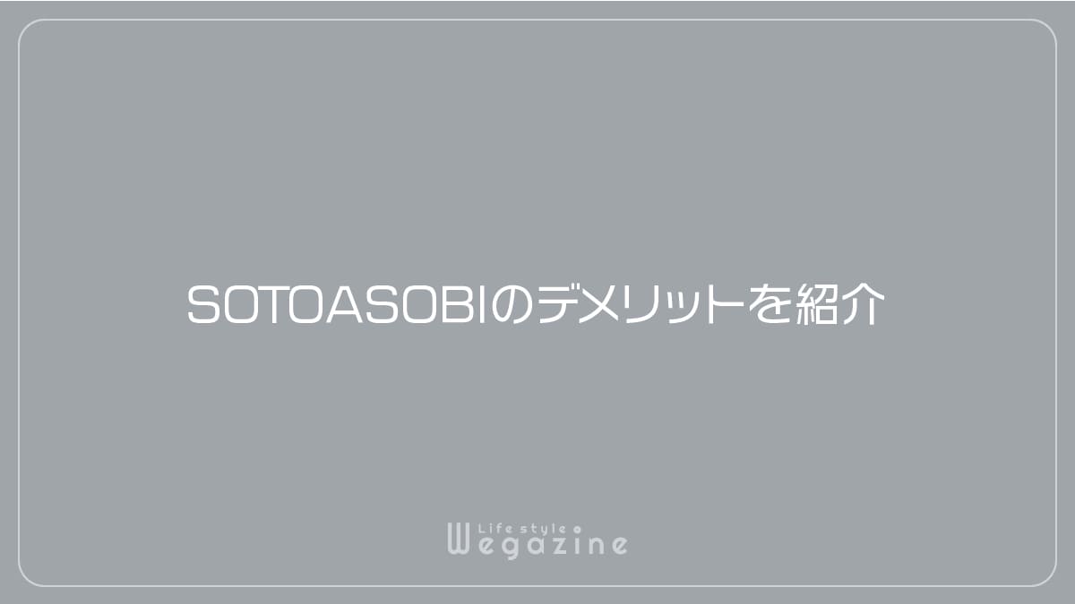 SOTOASOBIのデメリットを紹介