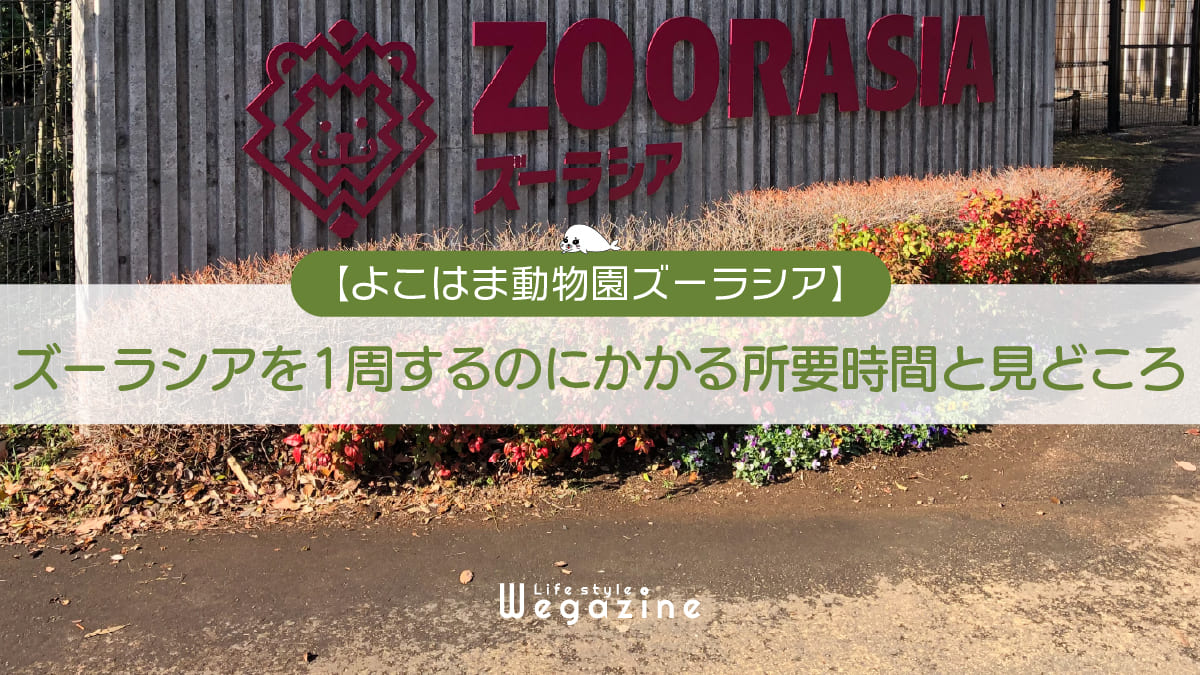 ズーラシアを1周するのにかかる所要時間と見どころ＜オカピなど希少動物の宝庫＞