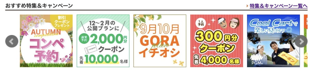 楽天GORAの公式サイトをチェックする