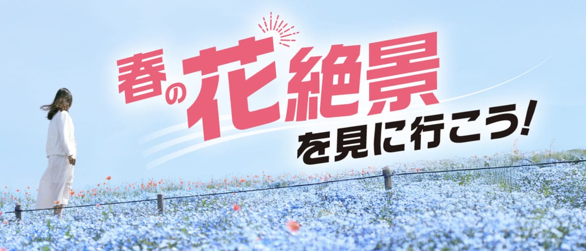 【最大20%割引】春の花絶景を見に行こう特集キャンペーン