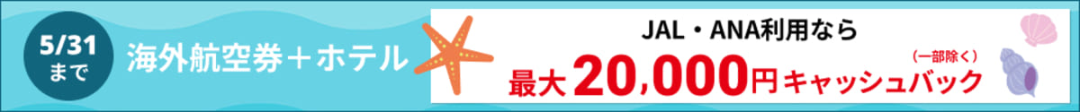 【最大20,000円キャッシュバック】JAL・ANAの海外航空券+ホテル割引キャンペーン