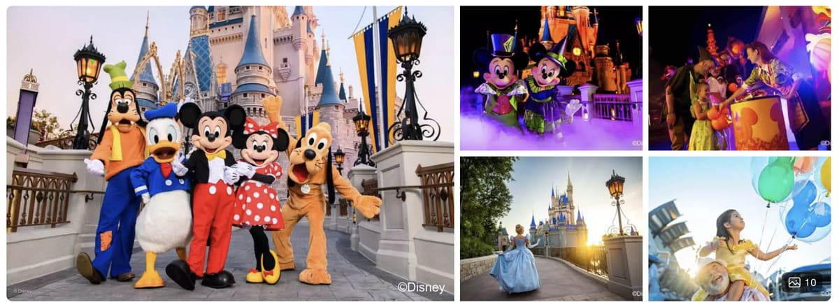 フロリダ ウォルト・ディズニー・ワールド・リゾートキャンペーン