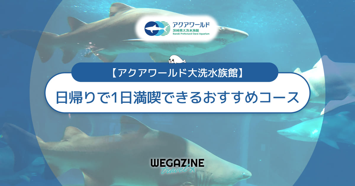 【アクアワールド大洗】日帰りで1日満喫できるおすすめコースを紹介＜実体験レポート＞