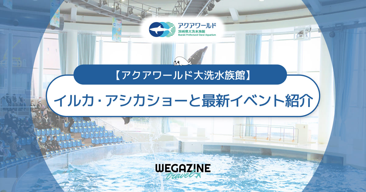 【アクアワールド大洗】イルカ・アシカショーと最新イベントプログラムを紹介＜料金・所要時間・開催場所・開始時刻・受付方法＞