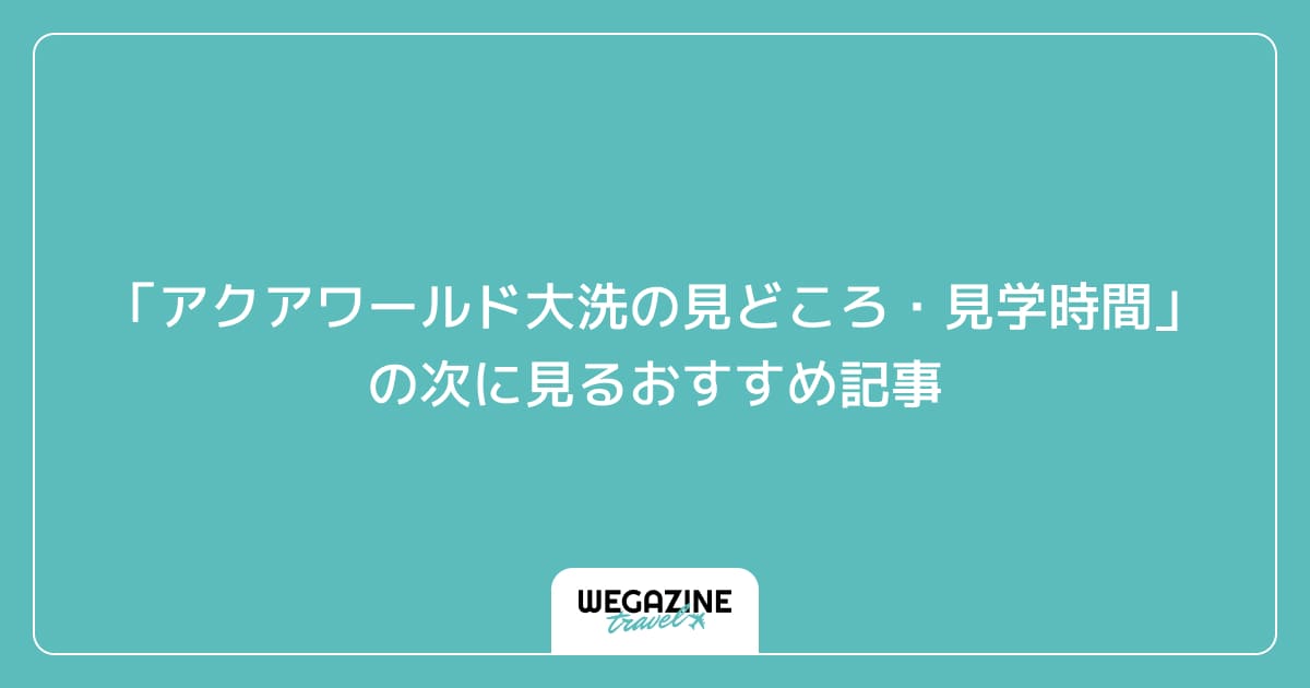 「アクアワールド大洗の見どころ・見学時間・基本情報」の次に見るおすすめ記事