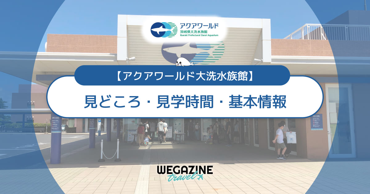 【アクアワールド大洗】見どころ・見学時間・基本情報（営業時間・料金・アクセス・駐車場）＜実体験レポート＞