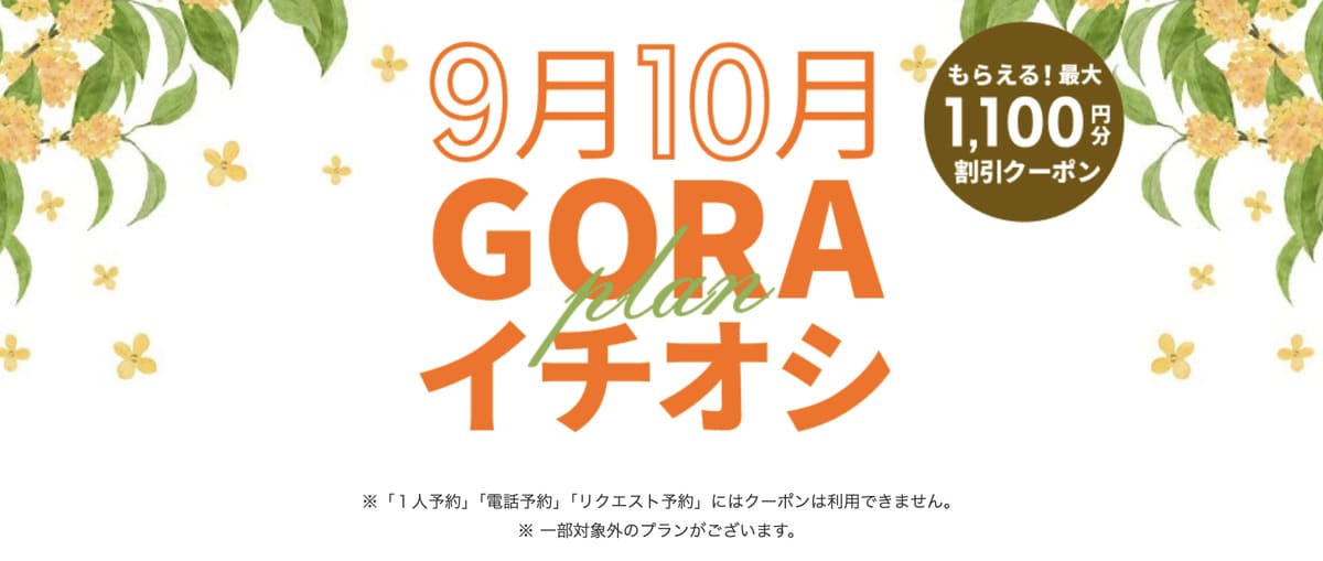 【1,100円割引クーポン】GORAイチオシプラン特集