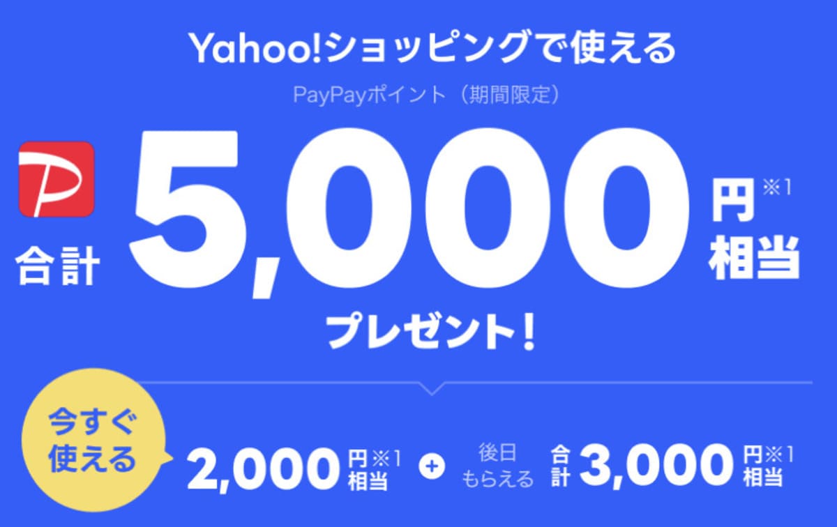 【LYPプレミアム入会特典】PayPayポイント合計5,000円相当が貰えるキャンペーン