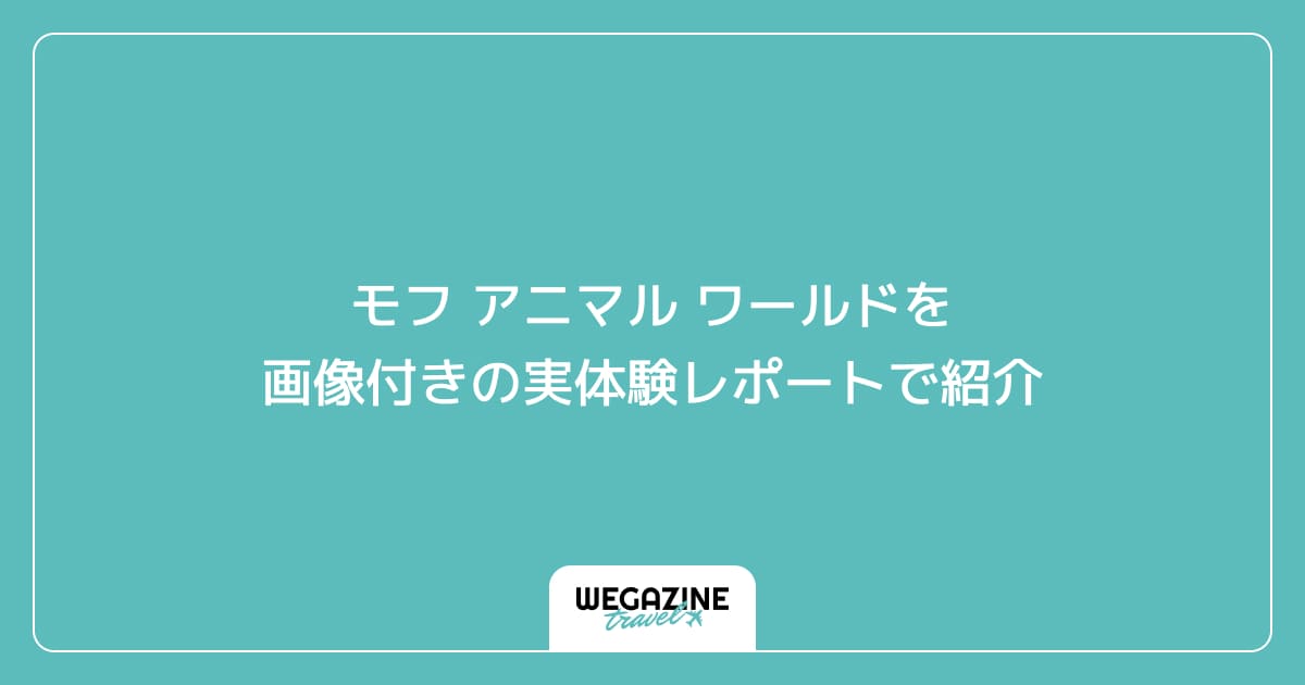 モフ アニマル ワールドを画像付きの実体験レポートで紹介