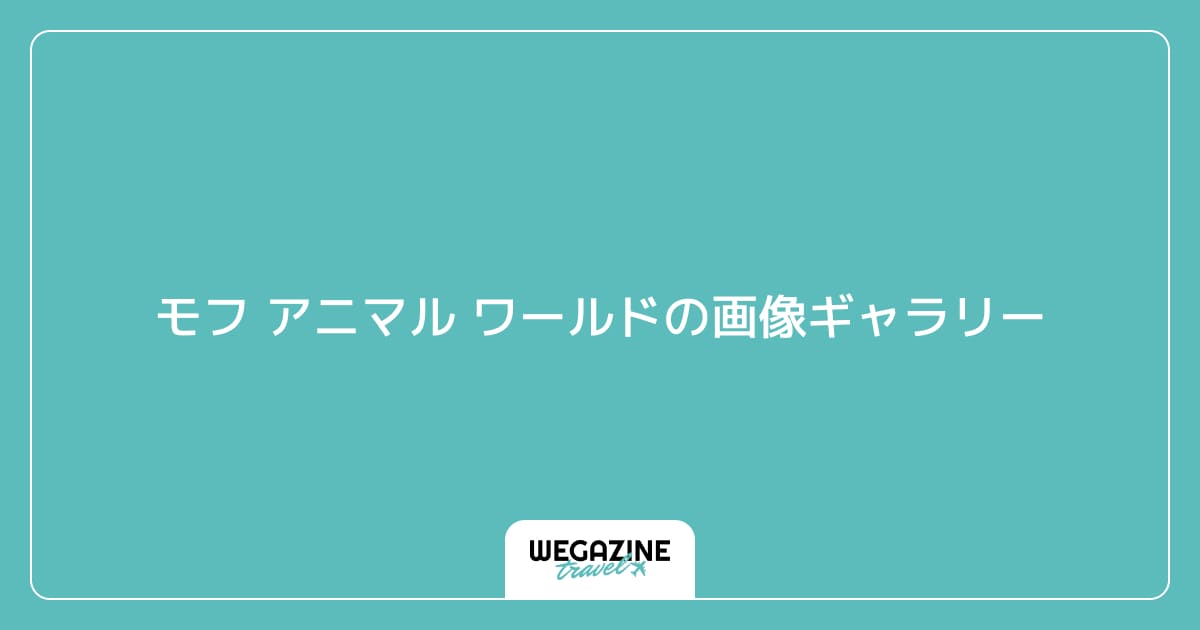 モフ アニマル ワールドの画像ギャラリー