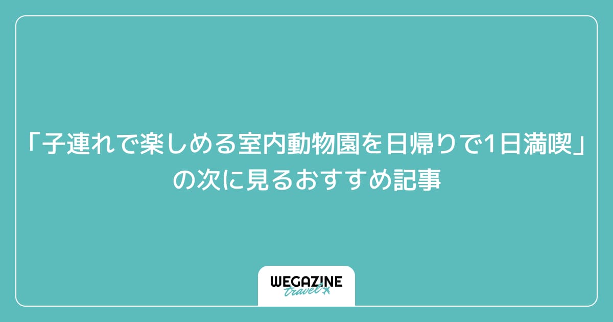「子連れで楽しめる室内動物園のモフアニマルワールドを日帰りで1日満喫」の次に見るおすすめ記事