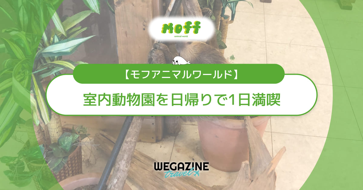 【モフアニマルワールド】子連れで楽しめる室内動物園を日帰りで1日満喫＜実体験レポート＞