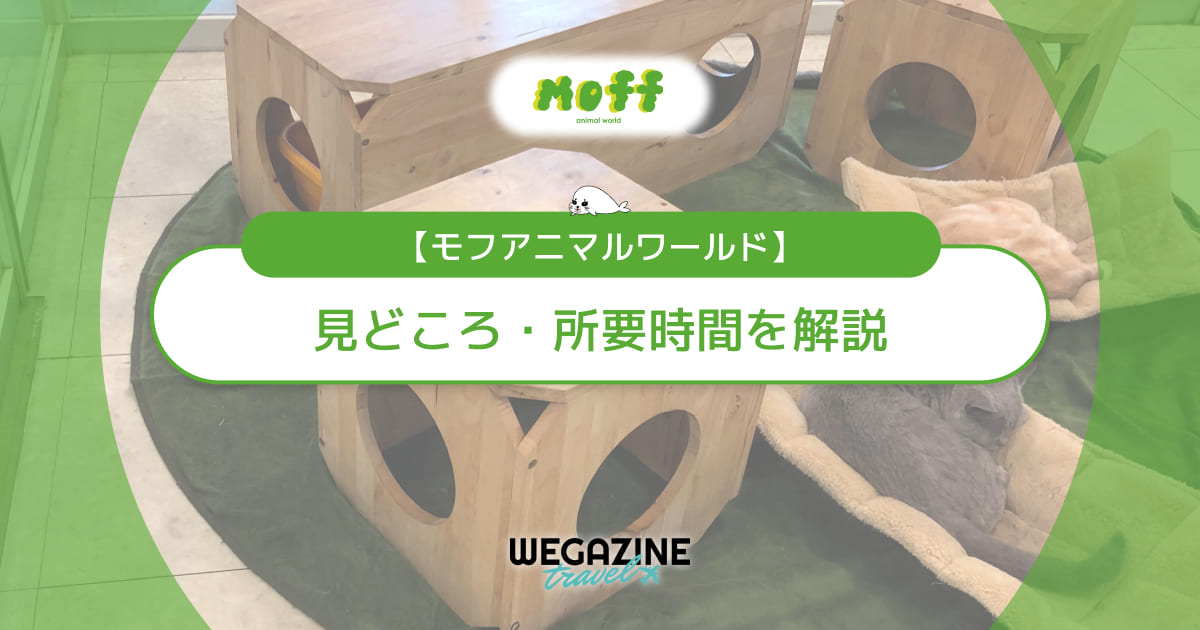 【モフアニマルワールド】千葉にある室内動物園なら天候に左右されず楽しめる(見どころ・所要時間・営業時間・料金・アクセス・駐車場)