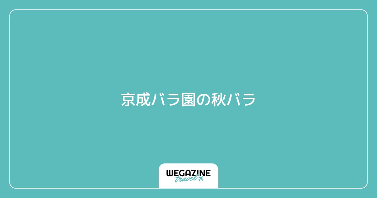 京成バラ園の秋バラ