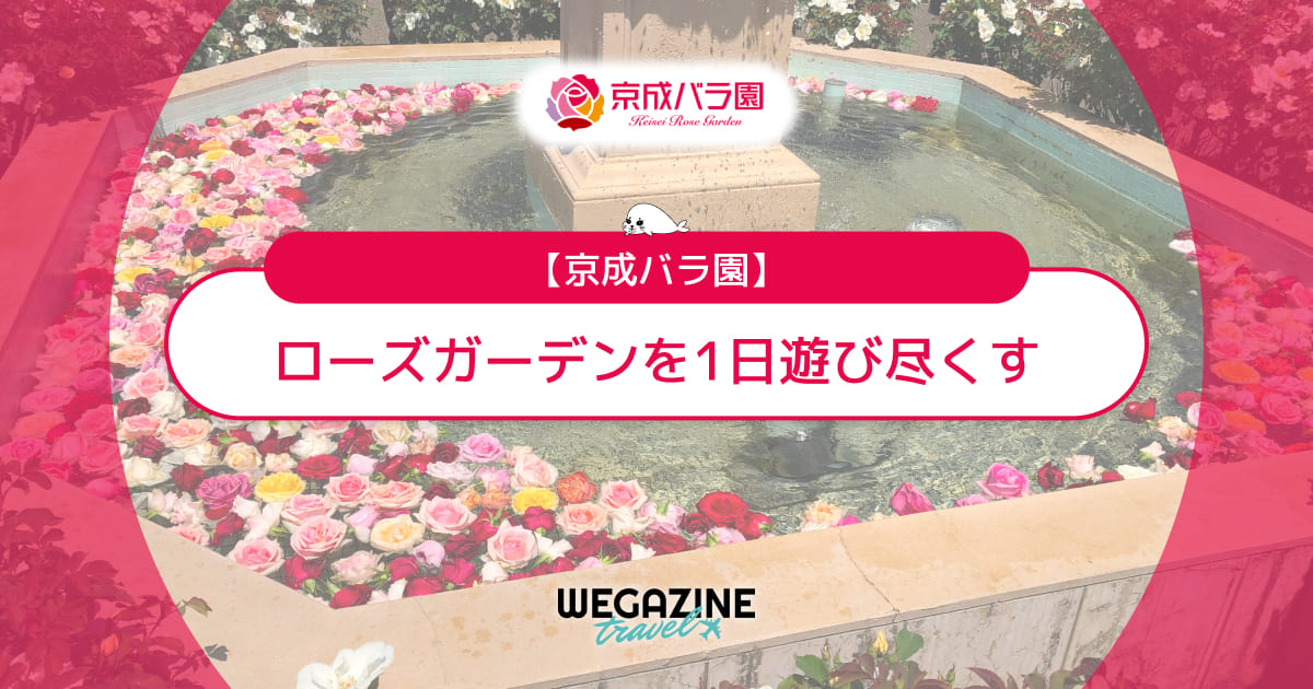 【京成バラ園】八千代市のローズガーデンを1日遊び尽くす＜実体験おすすめコース＞