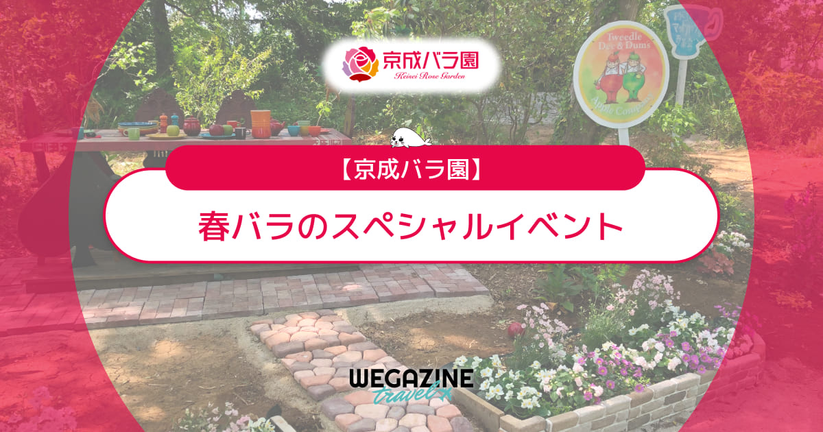 【京成バラ園】春バラのスペシャルイベントを画像付きで紹介＜実体験レポート＞