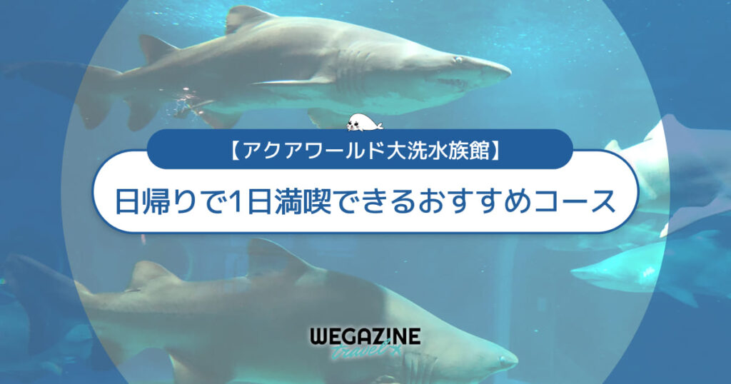 【アクアワールド大洗】日帰りで1日満喫できるおすすめコースを紹介＜実体験レポート＞