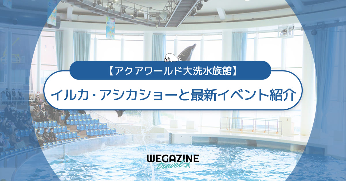 【アクアワールド大洗】イルカ・アシカショーと最新イベントプログラムを紹介<料金・所要時間・開催場所・開始時刻・受付方法>
