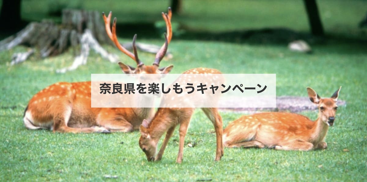 【奈良エリア】奈良県を楽しもうキャンペーン