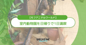 【モフアニマルワールド】子連れで楽しめる室内動物園を日帰りで1日満喫<実体験レポート>