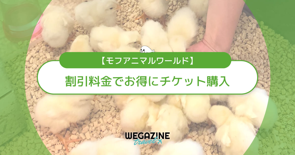 モフアニマルワールドの割引チケット・クーポン・優待・前売り券などのお得情報