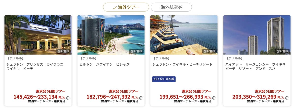 【海外ツアー・航空券】ブラックフライデーのピックアッププラン